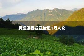 跨境旅客发送量超1万人次