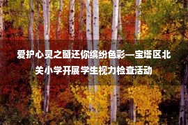 爱护心灵之窗还你缤纷色彩—宝塔区北关小学开展学生视力检查活动