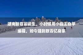 湖南新首富诞生，小时候用小霸王自学编程，如今赚到数百亿身家