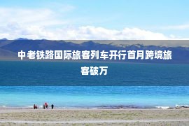 中老铁路国际旅客列车开行首月跨境旅客破万