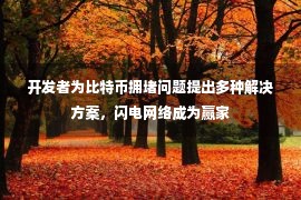 开发者为比特币拥堵问题提出多种解决方案，闪电网络成为赢家