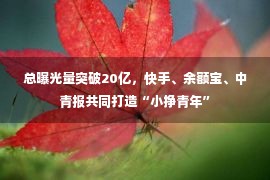 总曝光量突破20亿，快手、余额宝、中青报共同打造“小挣青年”