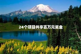 24个项目共享百万元奖金