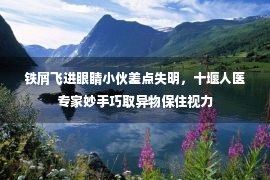 铁屑飞进眼睛小伙差点失明，十堰人医专家妙手巧取异物保住视力