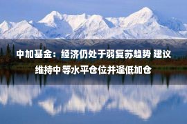 中加基金：经济仍处于弱复苏趋势 建议维持中等水平仓位并逢低加仓