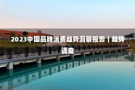 2023中国品牌消费趋势洞察报告｜趋势调查