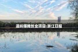 温岭摆摊创业项目:浙江日报