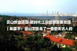 灵山创业项目:新时代江苏旅游发展论坛｜吴国平：灵山文旅走了一条前无古人的路