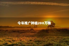 今年推广种植200万株