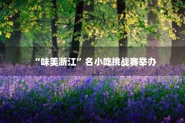 “味美浙江”名小吃挑战赛举办