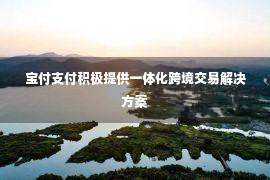 宝付支付积极提供一体化跨境交易解决方案