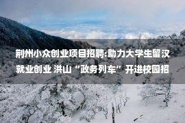 荆州小众创业项目招聘:助力大学生留汉就业创业 洪山“政务列车”开进校园招聘会