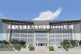 大商所生猪主力合约突破16000元/吨