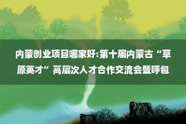 内蒙创业项目哪家好:第十届内蒙古“草原英才”高层次人才合作交流会暨呼包鄂乌人才创新创业周在鄂尔多斯市开幕