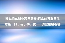 洗车修车创业项目简介:汽车的互联网生意经：打、租、拼、卖......创业机会在哪儿？