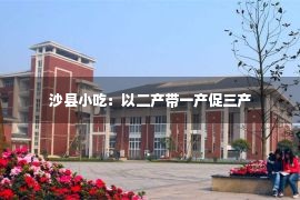 沙县小吃：以二产带一产促三产