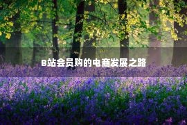 B站会员购的电商发展之路