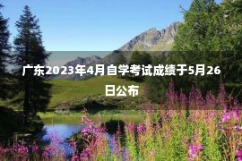 广东2023年4月自学考试成绩于5月26日公布