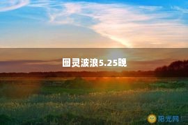 图灵波浪5.25晚