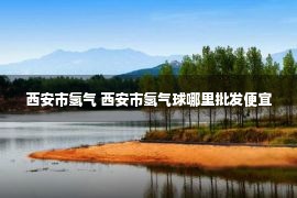 西安市氢气 西安市氢气球哪里批发便宜