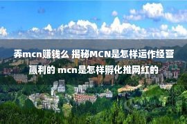 弄mcn赚钱么 揭秘MCN是怎样运作经营赢利的 mcn是怎样孵化推网红的