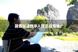 陕西加速数字人民币应用推广