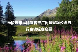 乐陵城市品牌宣传推广周暨省级公路自行车锦标赛启幕