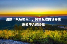 清除“灰色地带”，跨境互联网证券生态趋于合规稳健