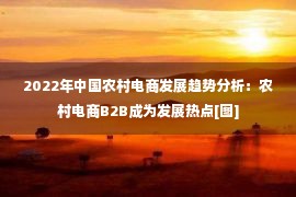 2022年中国农村电商发展趋势分析：农村电商B2B成为发展热点[图]