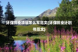 环保创业项目怎么写范文(环保创业计划书范文)