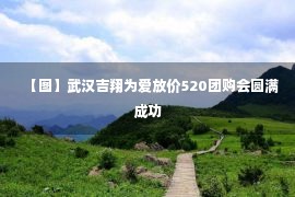 【图】武汉吉翔为爱放价520团购会圆满成功