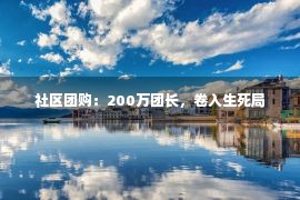 社区团购：200万团长，卷入生死局