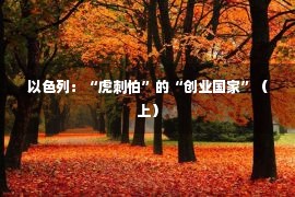 以色列：“虎刺怕”的“创业国家”（上）