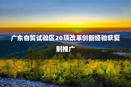 广东自贸试验区20项改革创新经验获复制推广