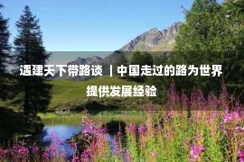 遇建天下带路谈 ｜中国走过的路为世界提供发展经验