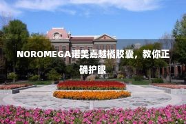 NOROMEGA诺美嘉越橘胶囊，教你正确护眼