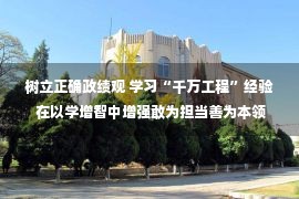 树立正确政绩观 学习“千万工程”经验 在以学增智中增强敢为担当善为本领