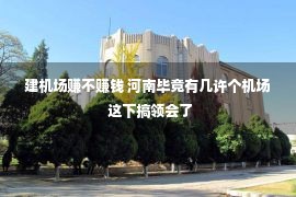 建机场赚不赚钱 河南毕竟有几许个机场 这下搞领会了