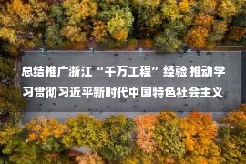 总结推广浙江“千万工程”经验 推动学习贯彻习近平新时代中国特色社会主义思想走深走实