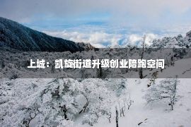 上城：凯旋街道升级创业陪跑空间