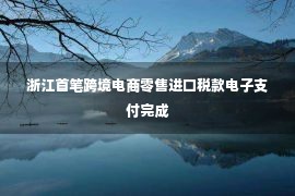 浙江首笔跨境电商零售进口税款电子支付完成