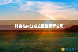 抖音在内江成立巨量引擎公司