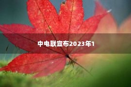 中电联宣布2023年1