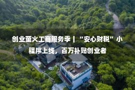 创业萤火工商服务季丨“安心财税”小程序上线，百万补贴创业者