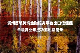 贵州首笔跨境金融服务平台出口信保保单融资业务成功落地黔南州