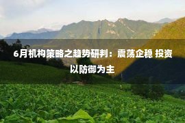 6月机构策略之趋势研判：震荡企稳 投资以防御为主