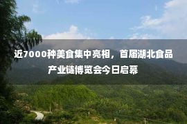 近7000种美食集中亮相，首届湖北食品产业链博览会今日启幕