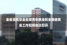 全省高校毕业生等青年就业创业暨稳就业工作视频会议召开