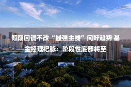 短期回调不改“最强主线”向好趋势 基金经理把脉：阶段性底部将至