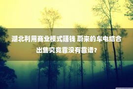 湖北利用商业模式赚钱 蔚来的车电结合出售究竟靠没有靠谱？